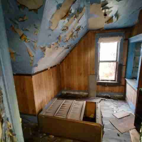 8031 conger (45).jpg